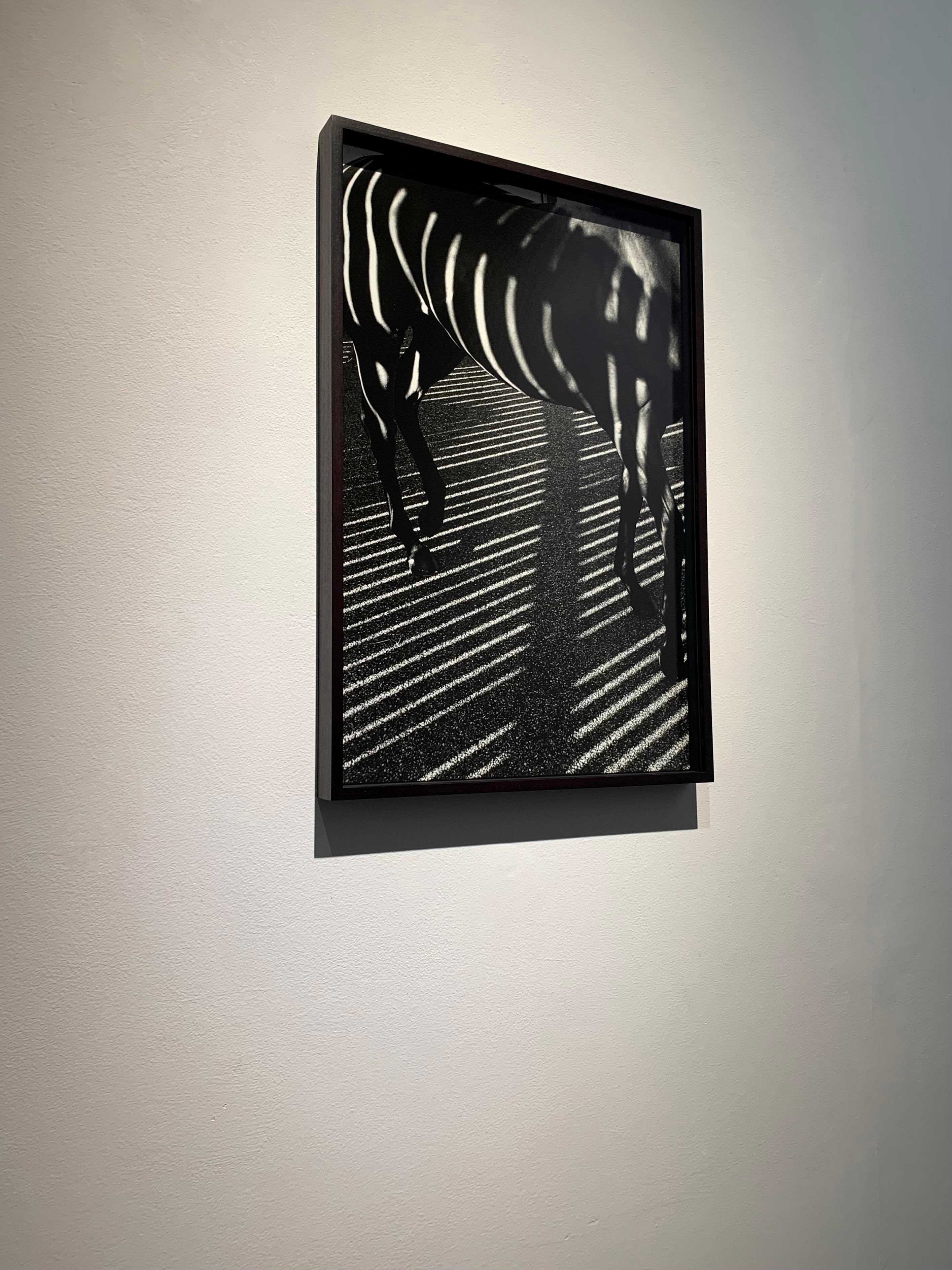 Dubawi, 'Gestreift/Schatten', Abstrakte Schwarz-Weiß-Pferdeporträtfotografie im Angebot 2