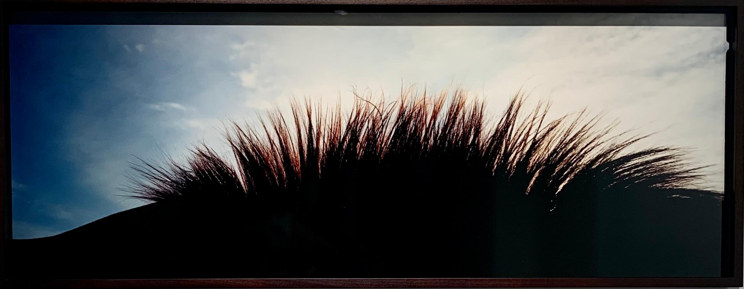 Noverre - Horse Landscape 2, 'Mane', 2003
C-type Hand Print, Mounted on Aluminium, Custom framed, Museum low glare, UV protective art glass
36.5 x 94 cm / 14.5 x 37 inches approx.
Edition of 5 only
This piece is part of (after) Whistlejacket - An