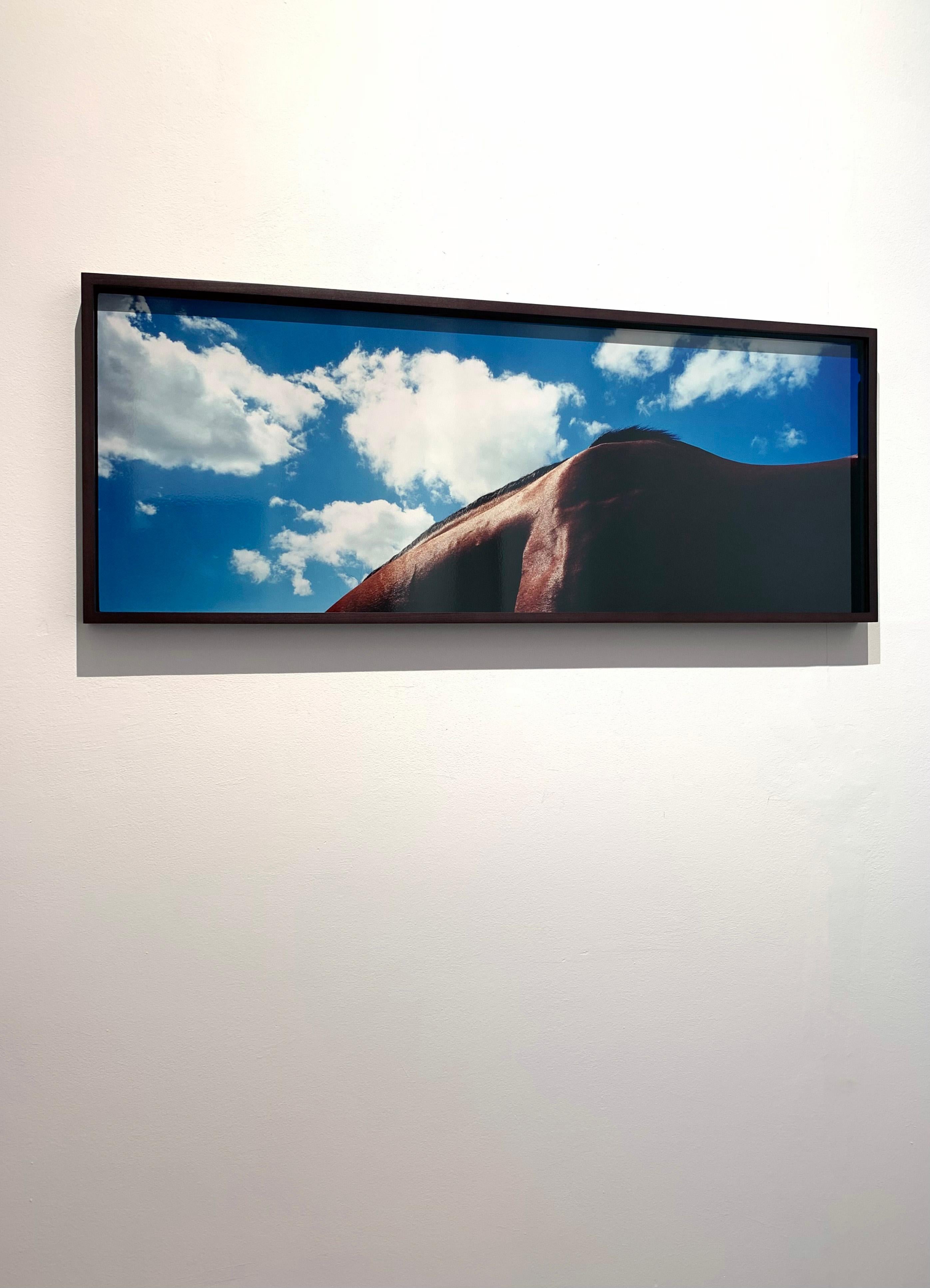 Noverre - Paysage de chevaux I, ciel bleu et nuages, imprimé Panoramic, Australie  - Print de John Reardon