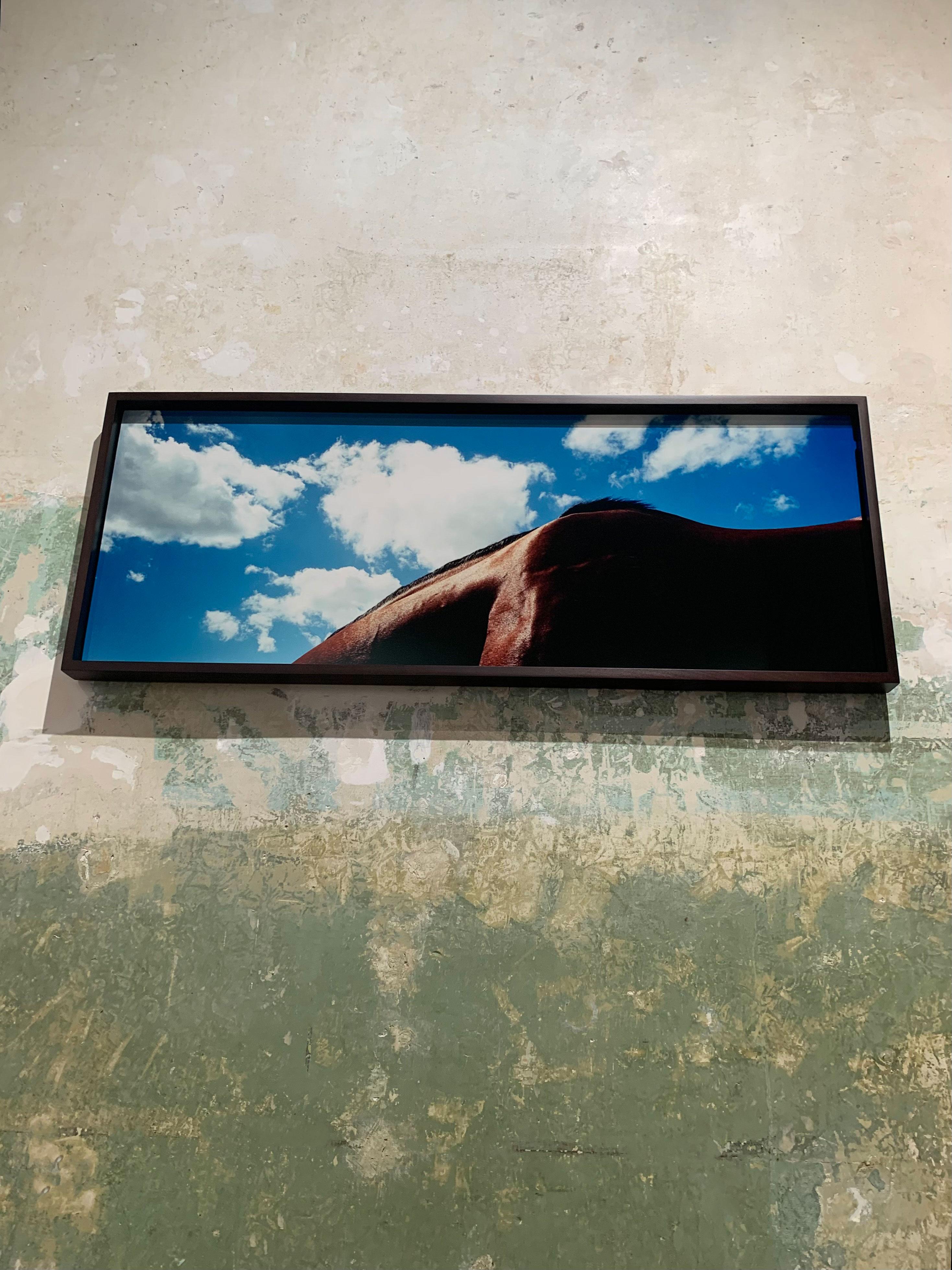 Noverre - Paysage de chevaux I, ciel bleu et nuages, imprimé Panoramic, Australie  en vente 2