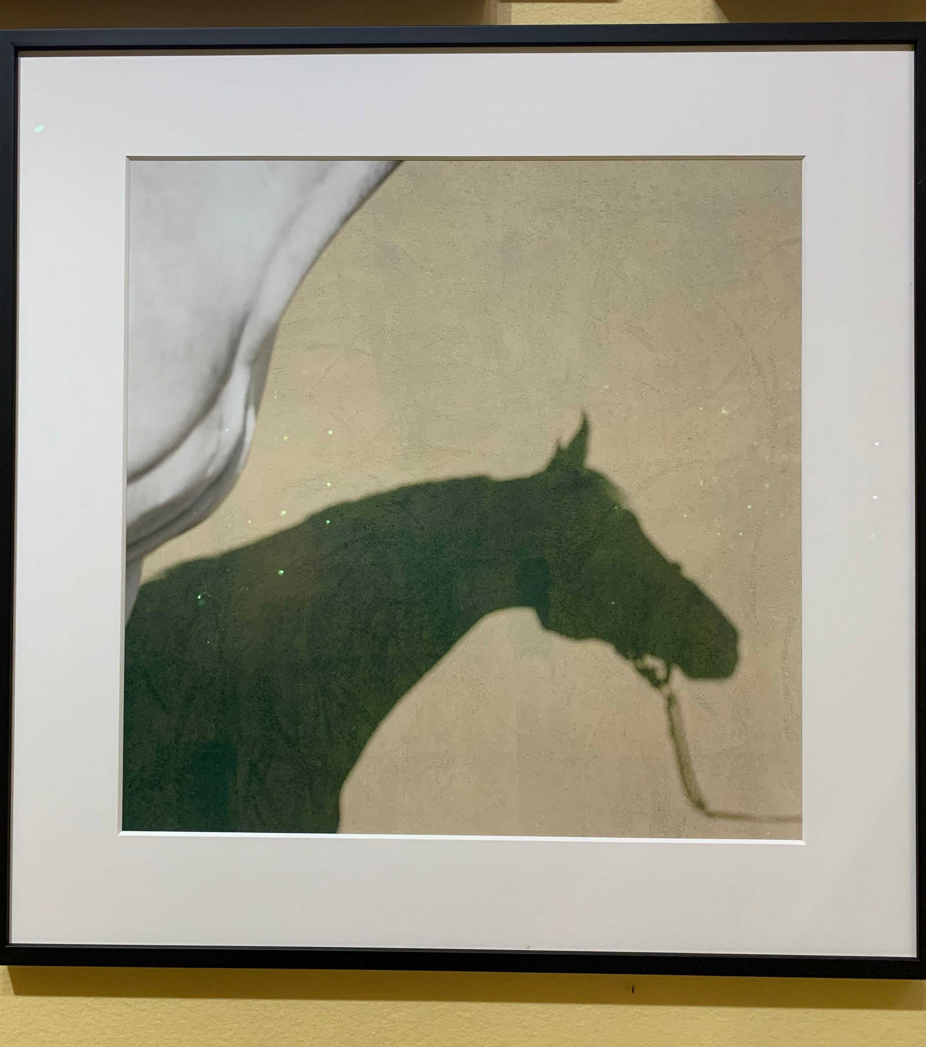 Sagamix, abstrait, Silhouette d'étalon imprimée - Print de John Reardon