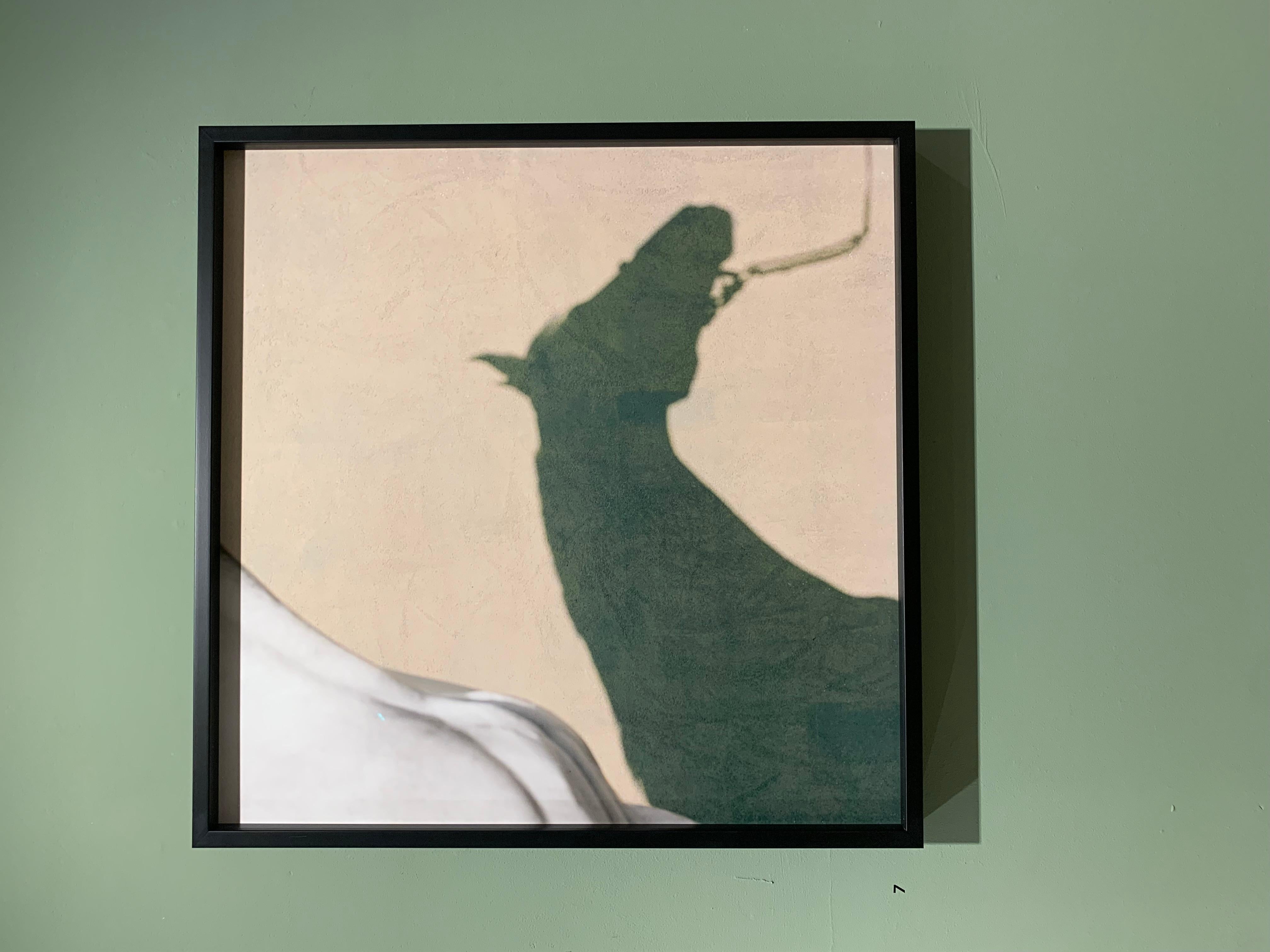Sagamix, abstrait, Silhouette d'étalon imprimée - Contemporain Print par John Reardon