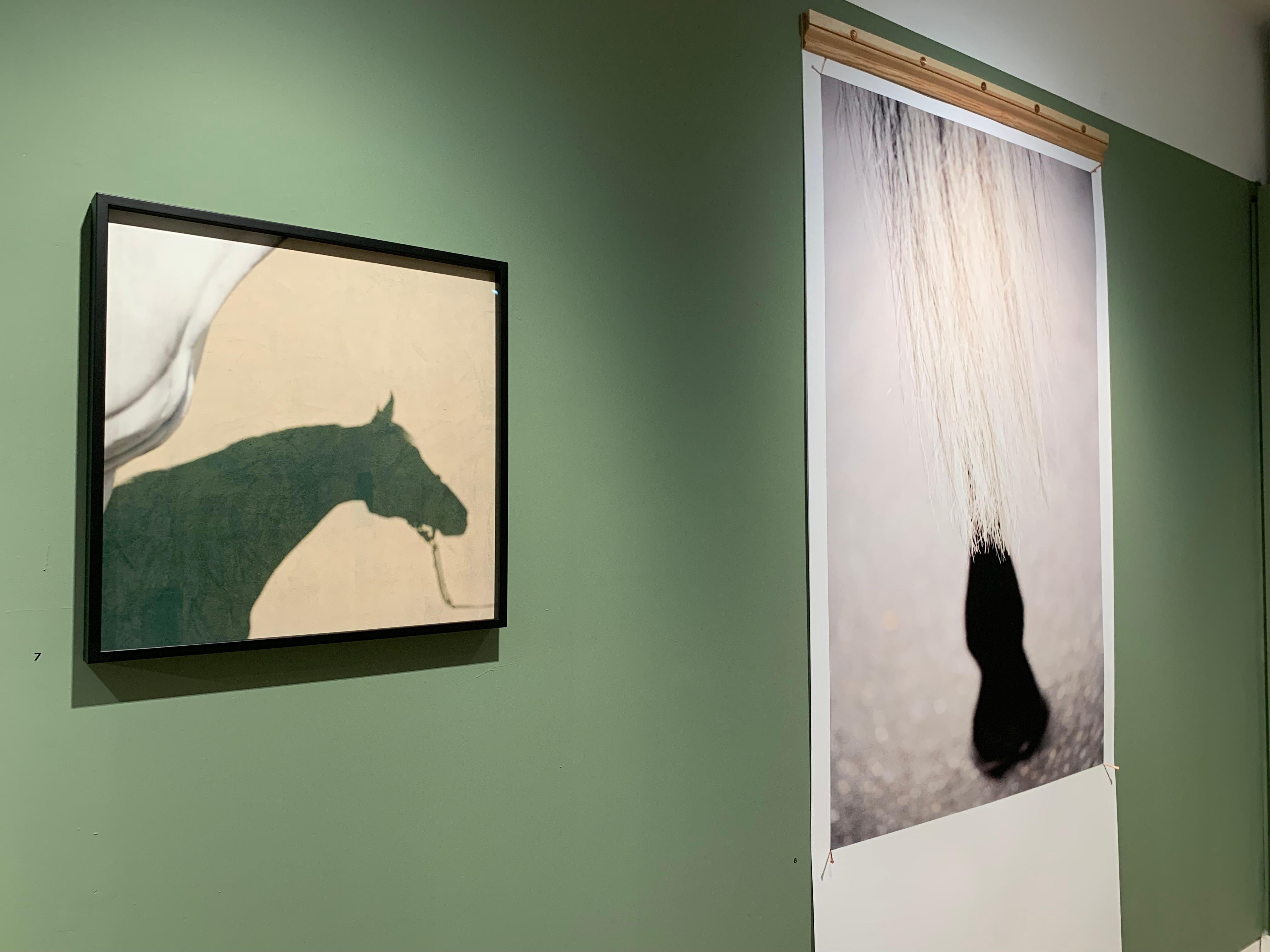 Sagamix, abstrait, Silhouette d'étalon imprimée - Beige Animal Print par John Reardon