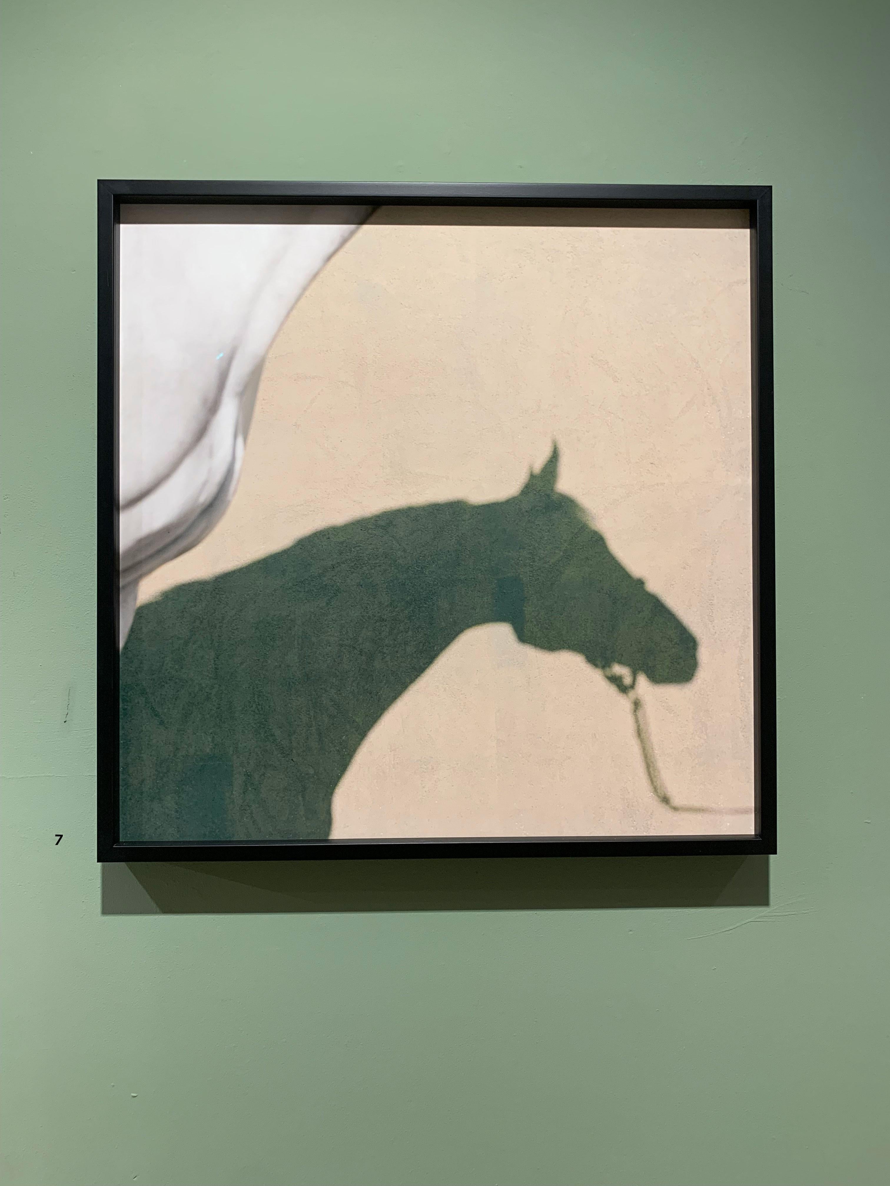 Sagamix, Abstrakt, Hengst Silhouette Druck (Beige), Animal Print, von John Reardon