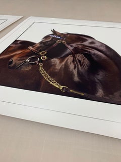 Ritratto dello Studio A: Bernardini - Stampa a pigmenti su carta Hahnemühle