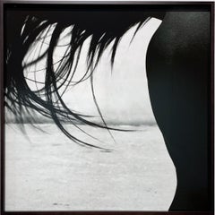 Xaar - Cheval à queue, détail étalon abstrait, impression à la gélatine argentique sur aluminium