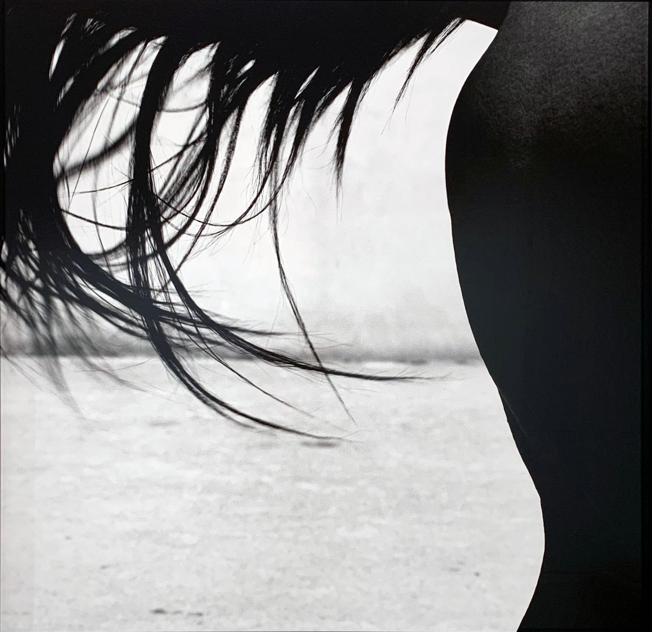 Black and White Photograph John Reardon - Xaar - Cheval à queue, détail étalon abstrait, impression à la gélatine argentique sur aluminium