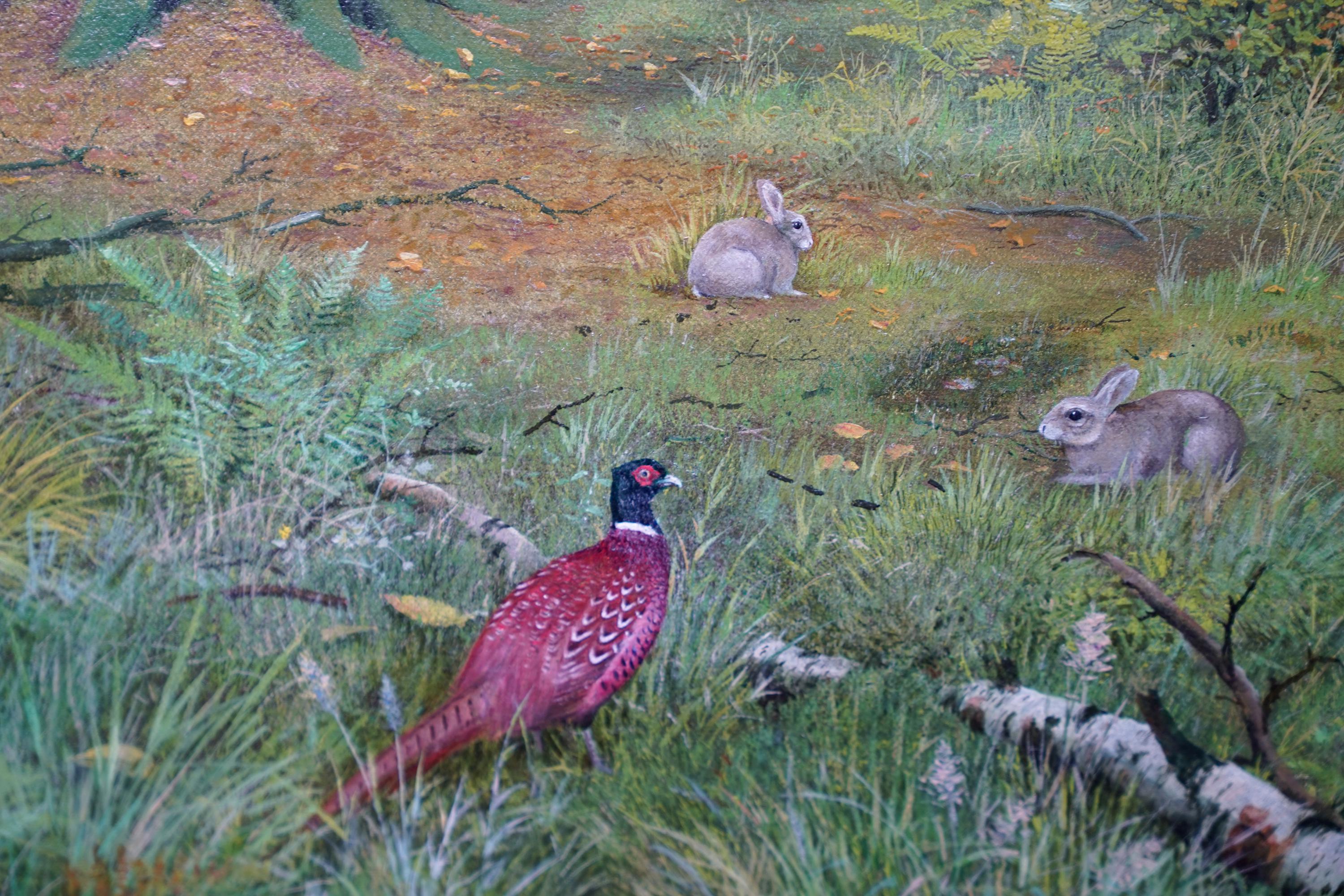 Pheasants in a Woodland - Scottish Victorian art animal landscape oil painting For Sale 1