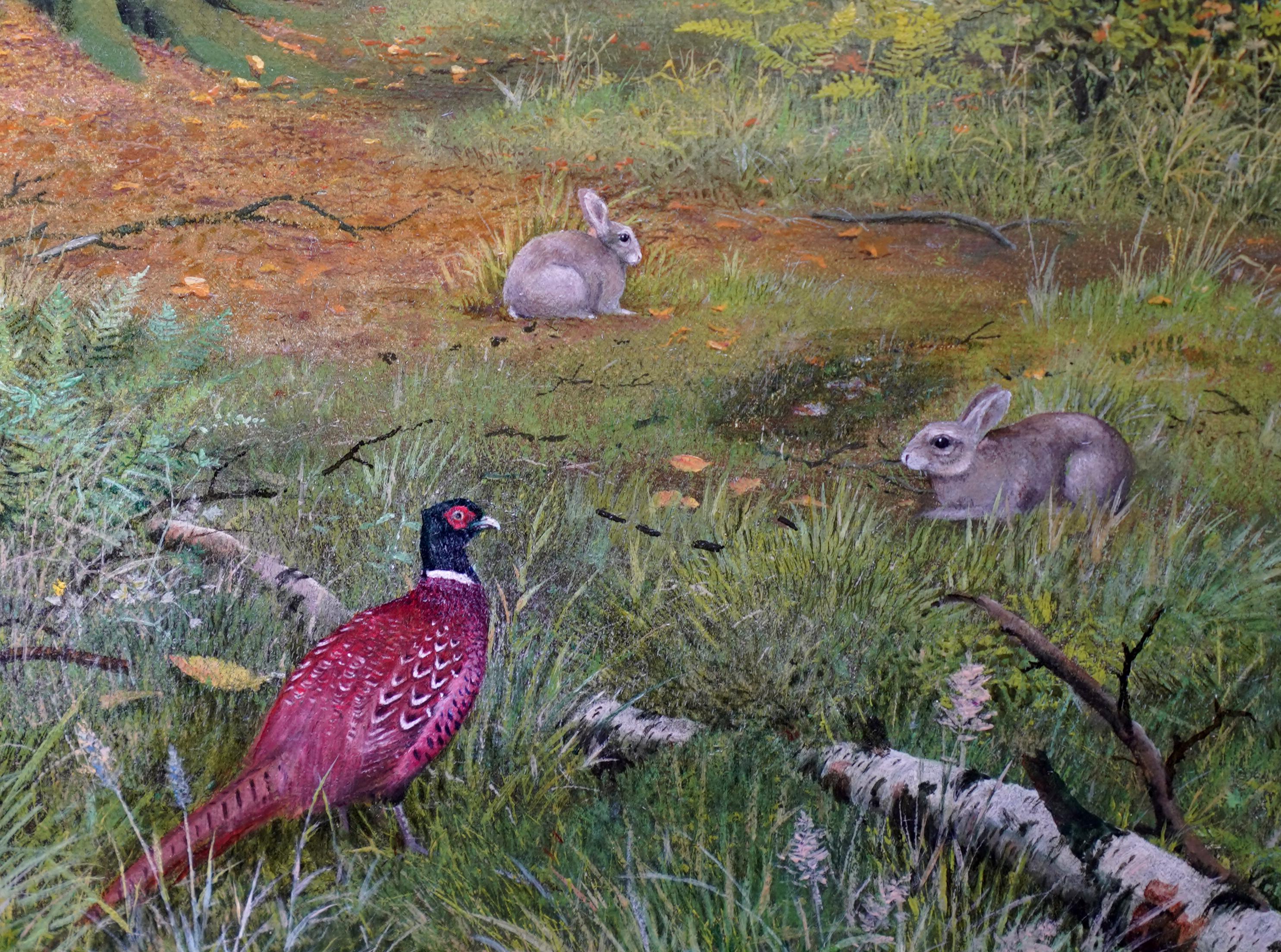 Pheasants in a Woodland - Scottish Victorian art animal landscape oil painting For Sale 2