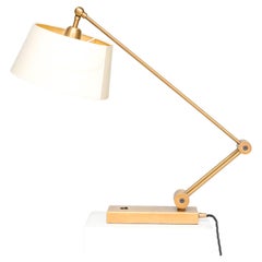 Heathfield & Co. Torun Used Brass Desk Lamp