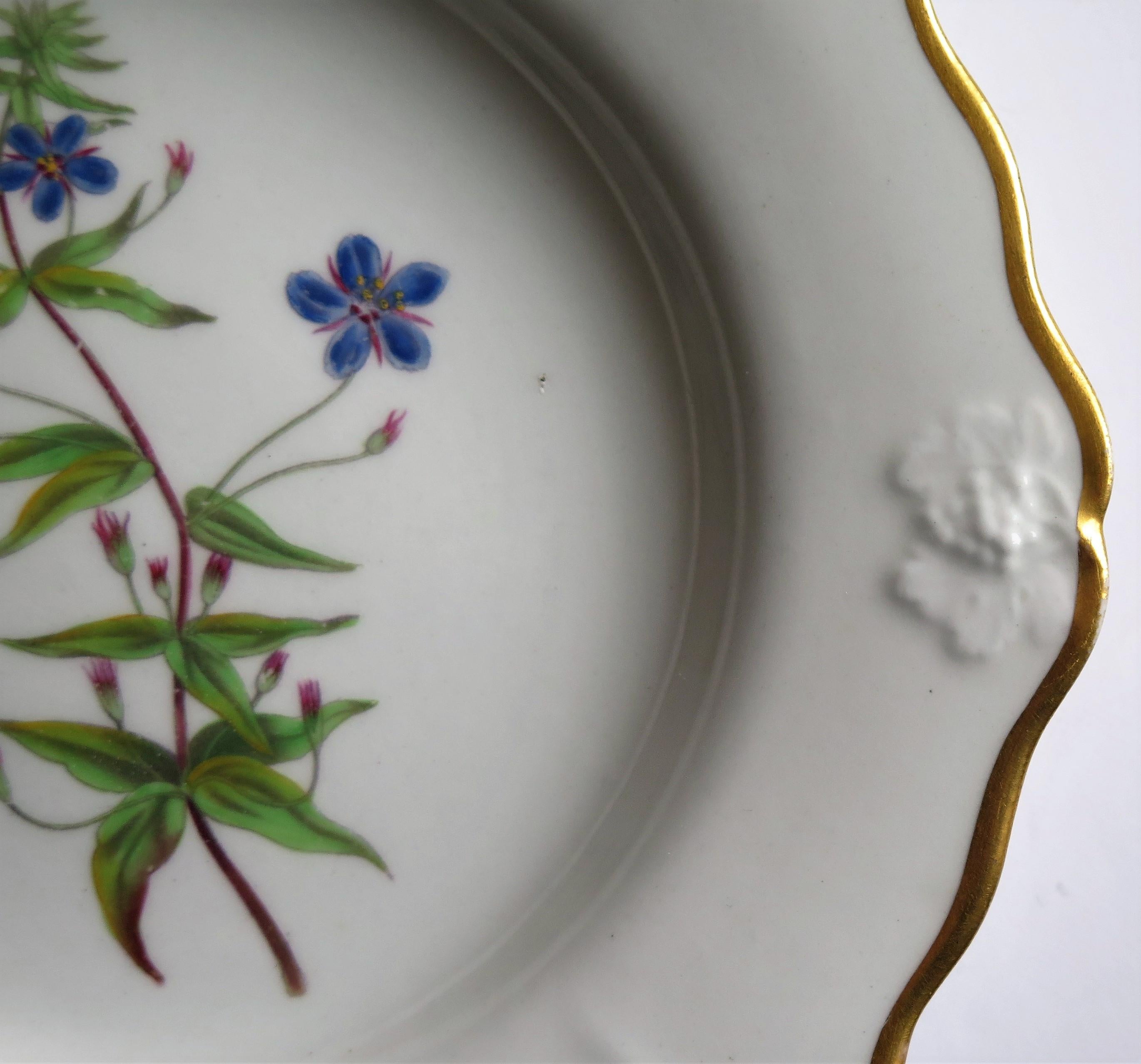 Georgian John Ridgway Plate Porcelain Hand Painted botanical, Circa 1820 For Sale 5