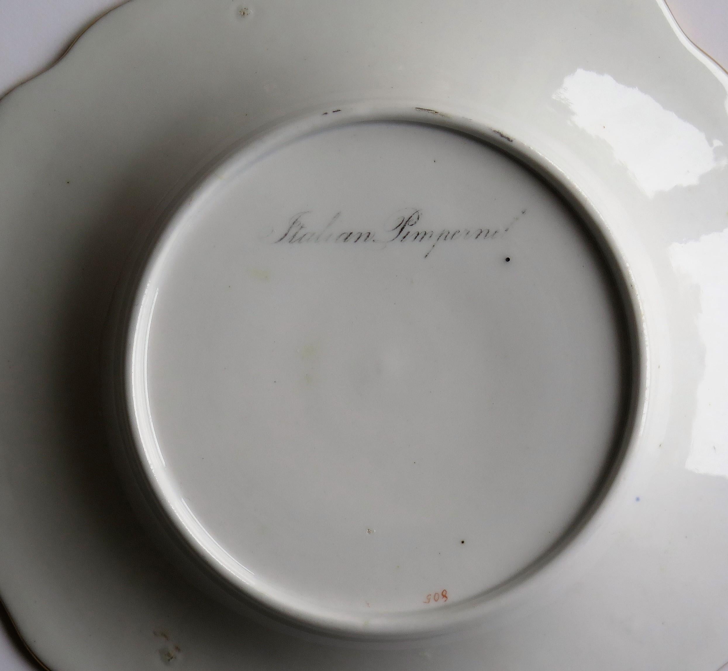 Piatto georgiano John Ridgways Porcelain dipinto a mano, botanico, Circa 1820 in vendita 8
