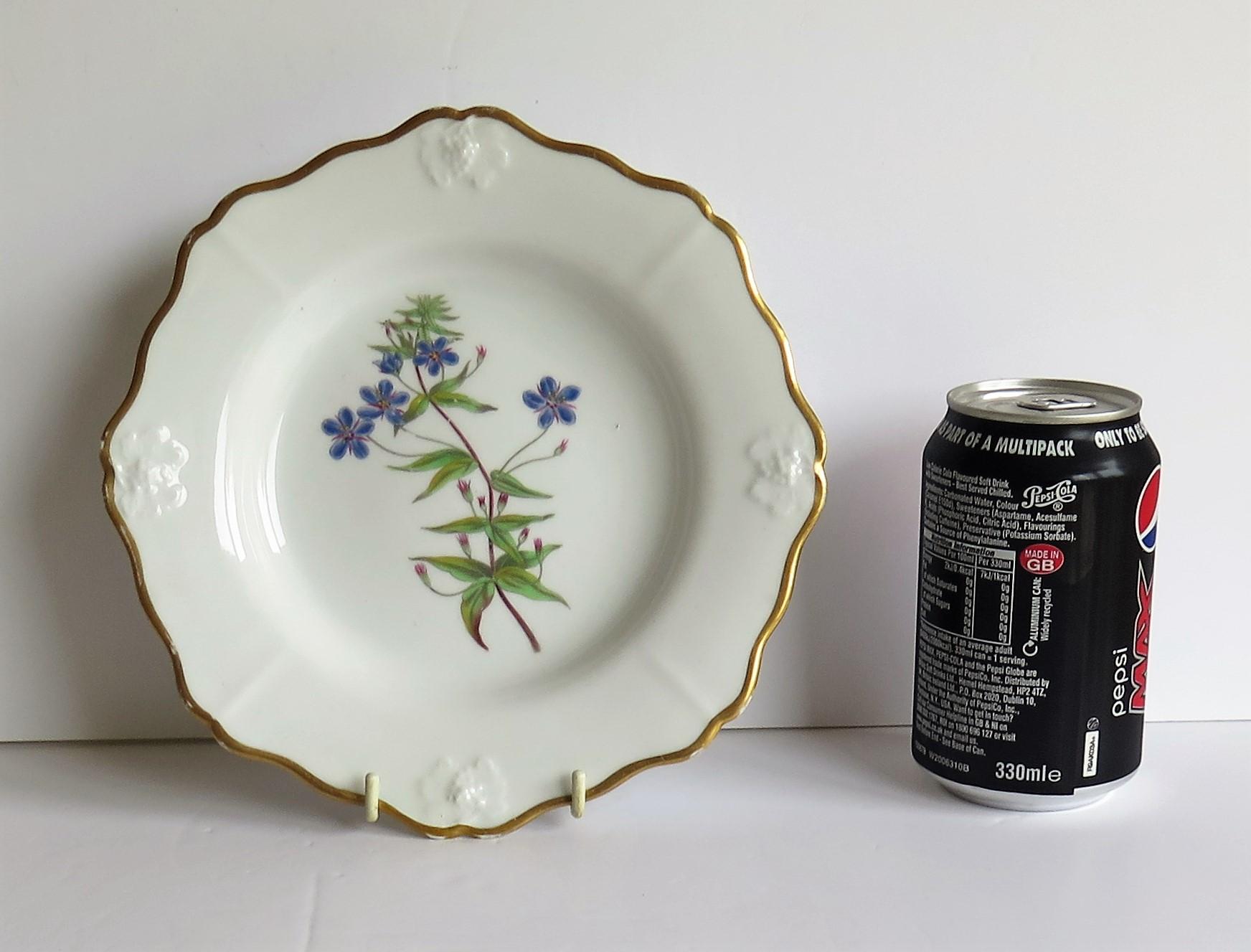 Georgian John Ridgway Plate Porcelain Hand Painted botanical, Circa 1820 For Sale 11