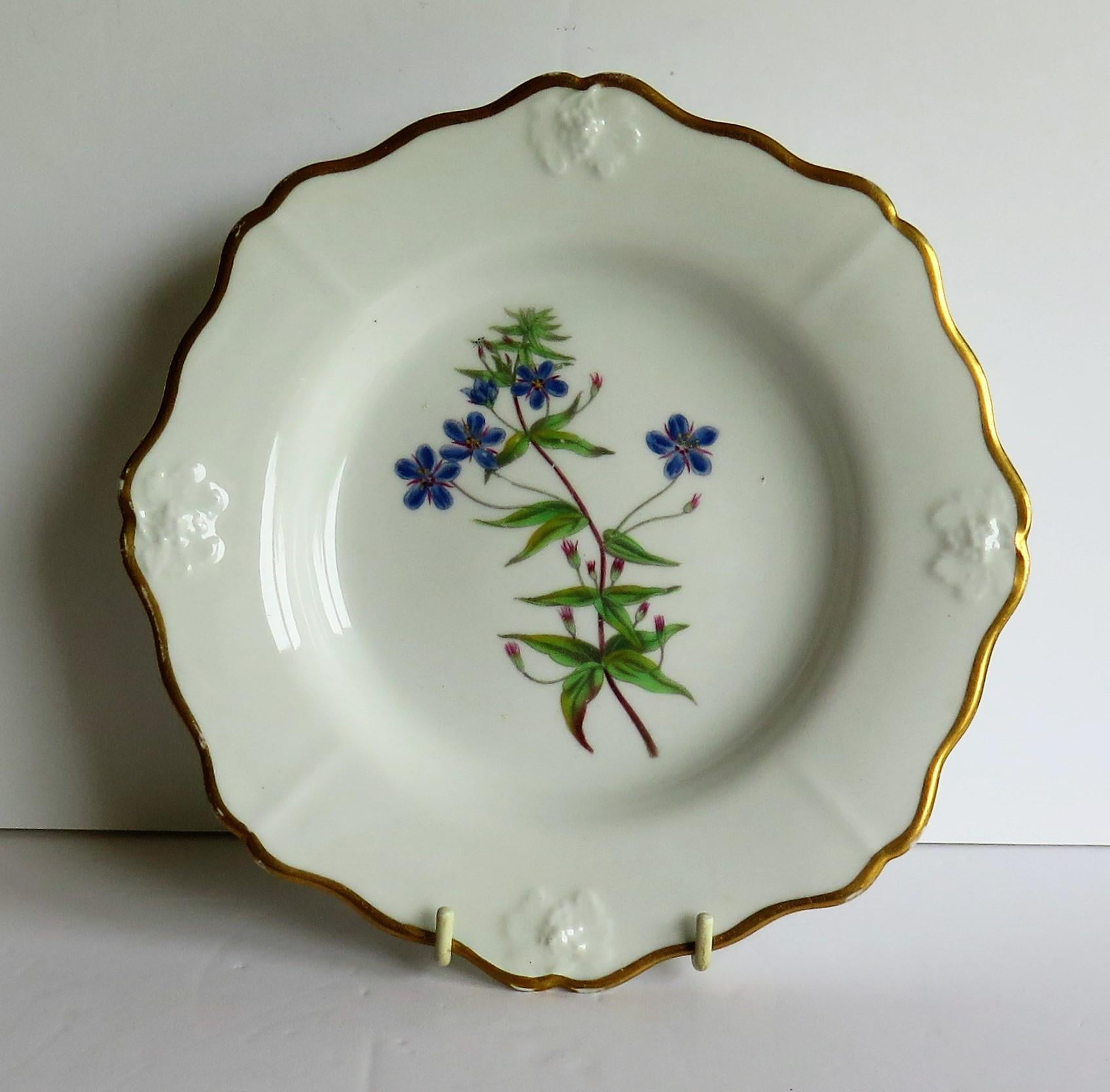 This is a beautiful, decorative, Porcelain Botanical Plate by John Ridgway, of Shelton, Hanley, Staffordshire Potteries, England, dating to the Late Georgian period of the early 19th century, circa 1820.

The plate is circular with a wavy rim and a