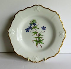 Georgian John Ridgway Plate Porcelain Hand Painted botanical, Circa 1820