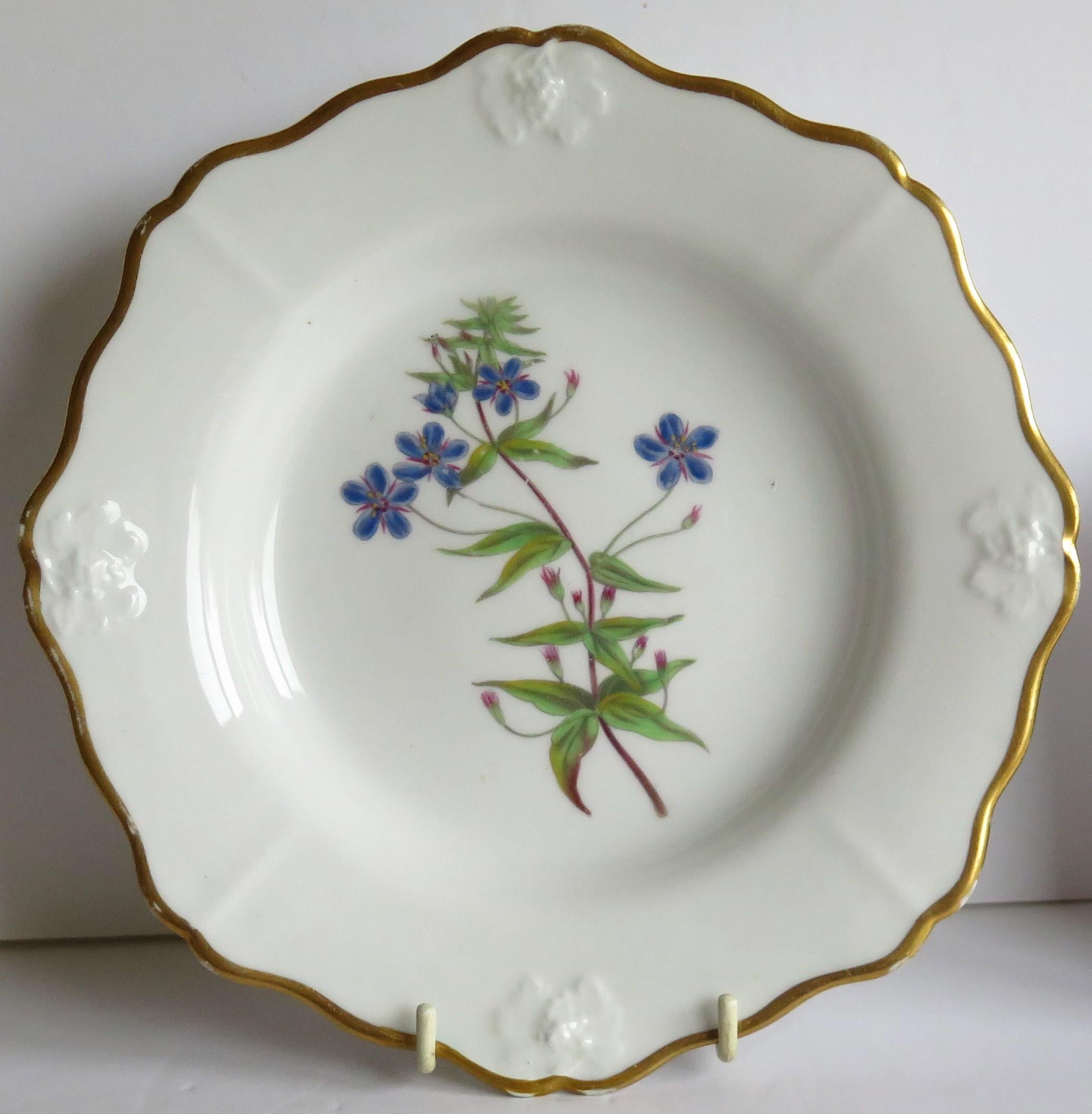 English Georgian John Ridgway Plate Porcelain Hand Painted botanical, Circa 1820 For Sale