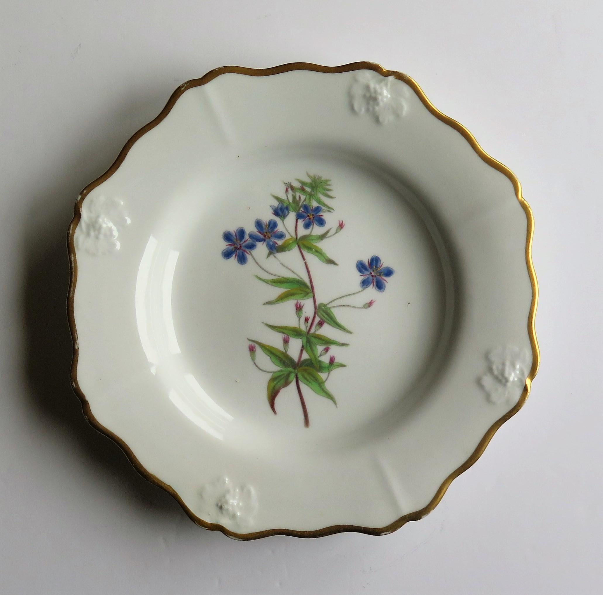 Inglese Piatto georgiano John Ridgways Porcelain dipinto a mano, botanico, Circa 1820 in vendita