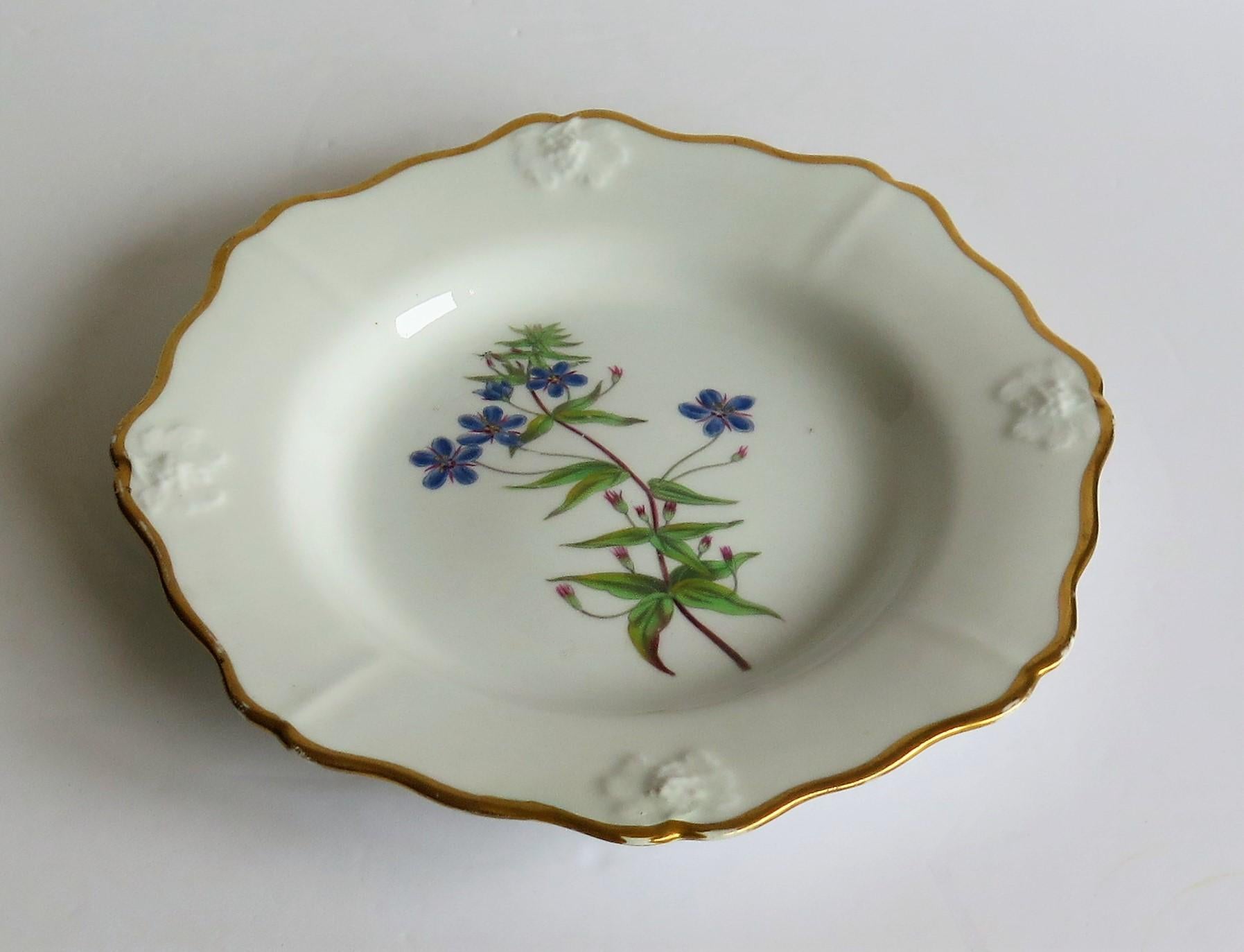 Georgian John Ridgway Plate Porcelain Hand Painted botanical, Circa 1820 In Good Condition For Sale In Lincoln, Lincolnshire