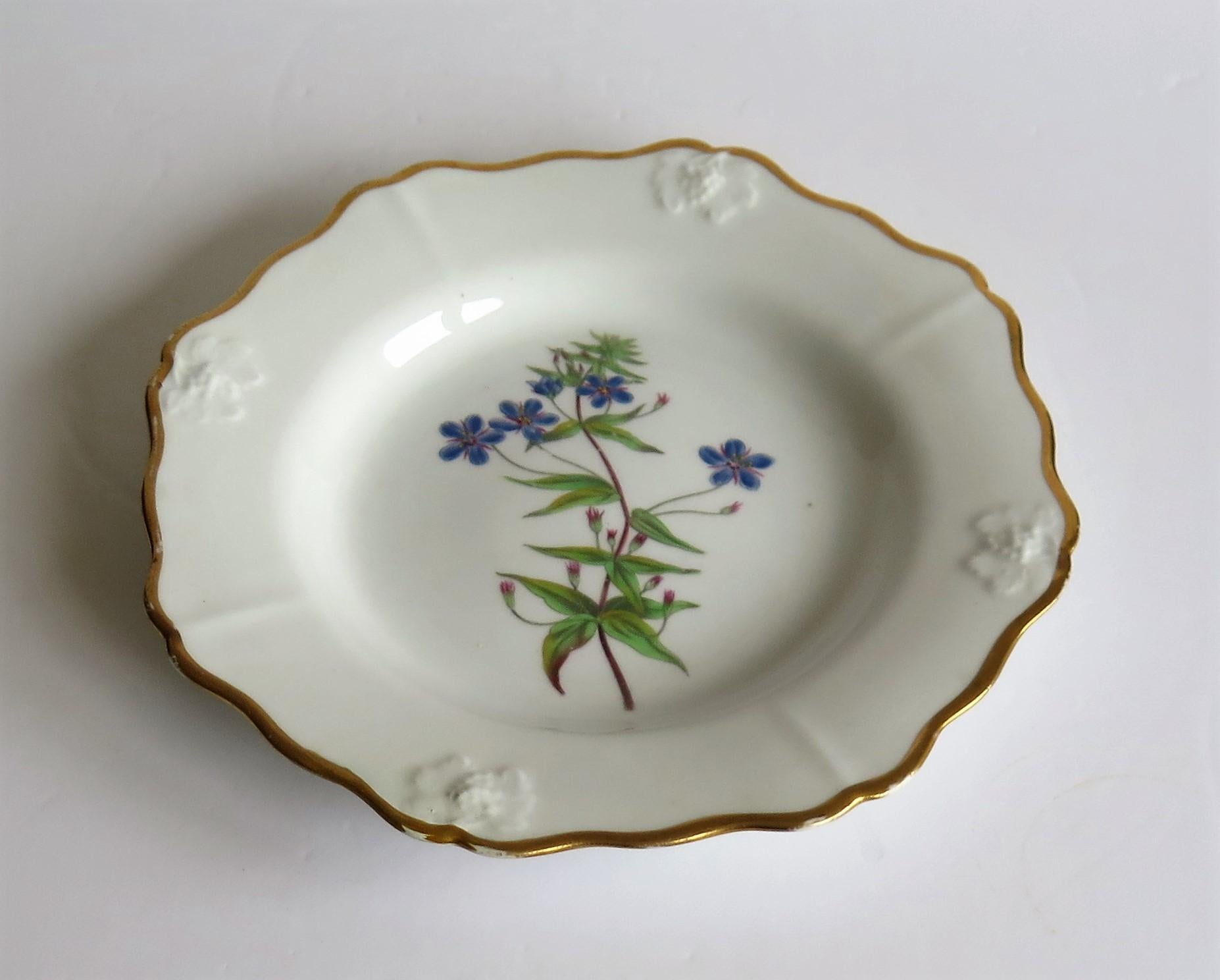 19th Century Georgian John Ridgway Plate Porcelain Hand Painted botanical, Circa 1820 For Sale