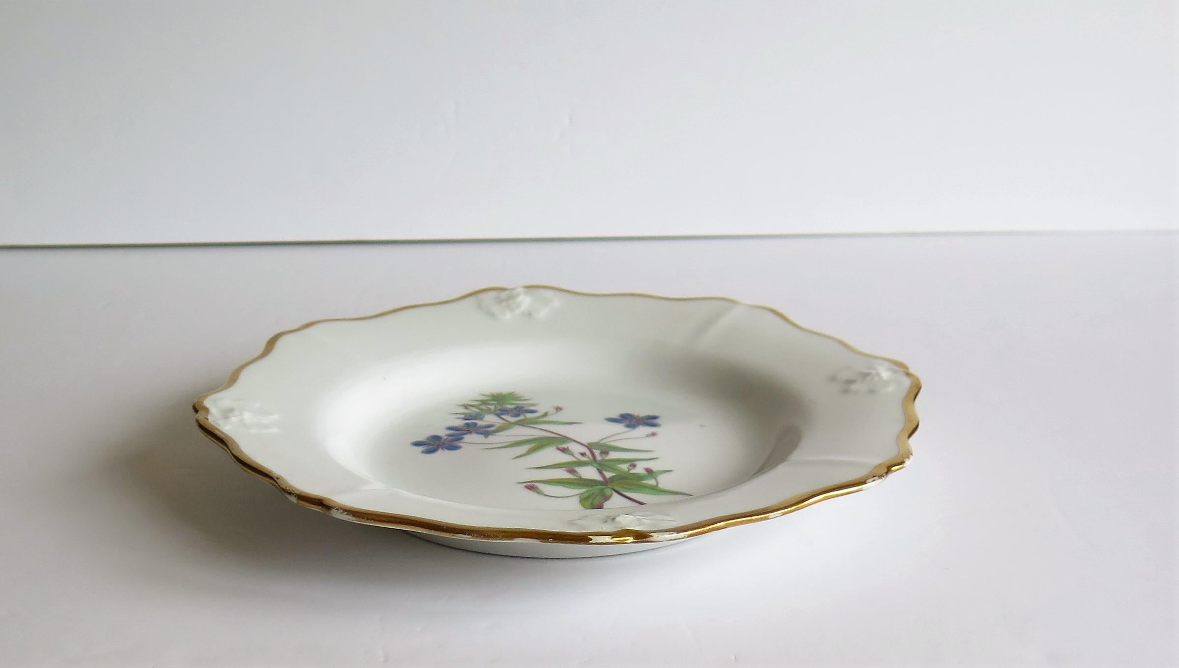 Georgian John Ridgway Plate Porcelain Hand Painted botanical, Circa 1820 For Sale 1