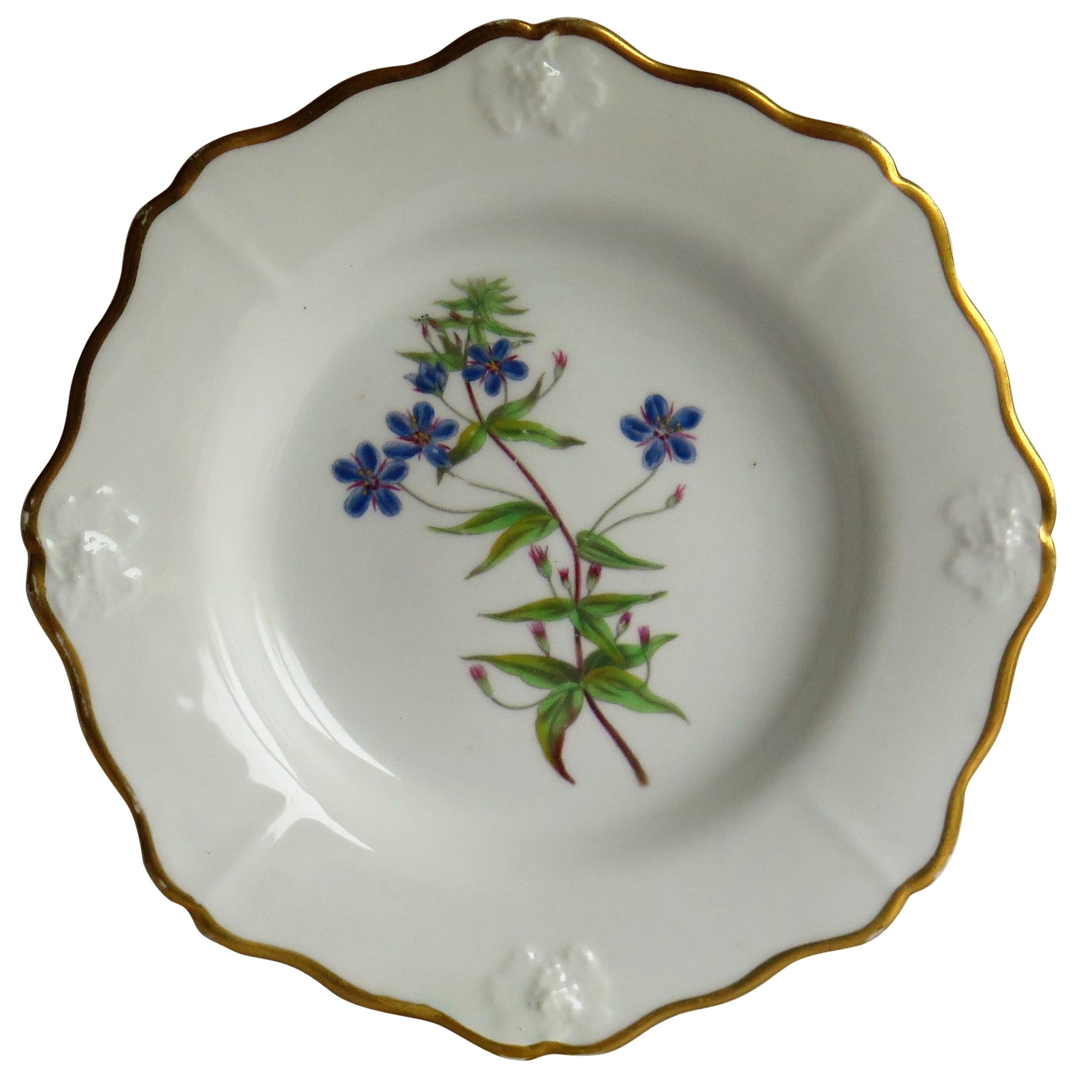 Georgian John Ridgway Plate Porcelain Hand Painted botanical, Circa 1820 For Sale