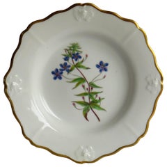 Piatto georgiano John Ridgways Porcelain dipinto a mano, botanico, Circa 1820