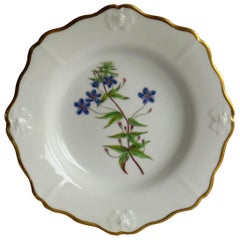 Georgian John Ridgway Plate Porcelain Hand Painted botanical, Circa 1820