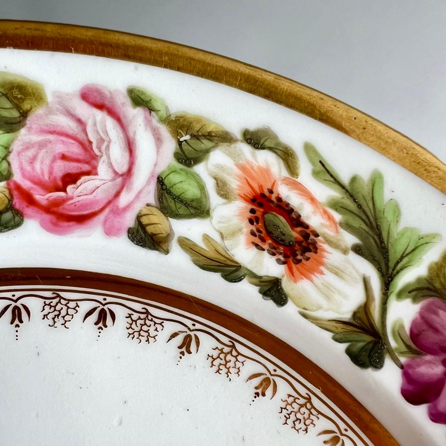 Coalport-Teller von John Rose, Füllhornblumen, T. Baxter Studio, um 1805 (1) (Frühes 19. Jahrhundert) im Angebot