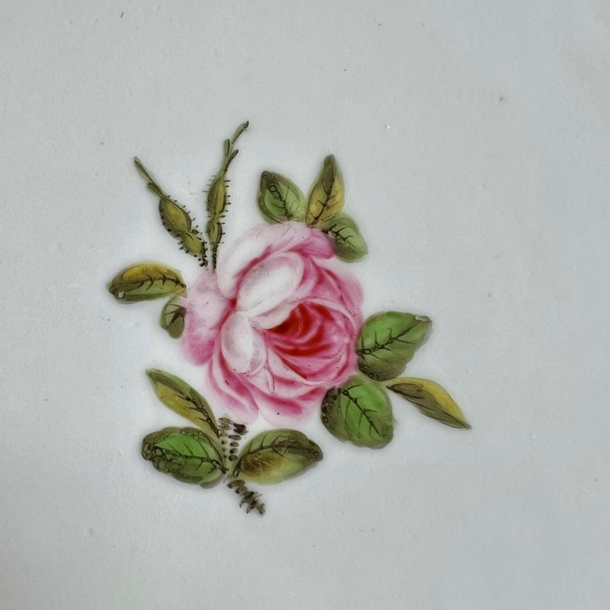 Coalport-Teller von John Rose, Füllhornblumen, T. Baxter Studio, um 1805 (1) (Porzellan) im Angebot