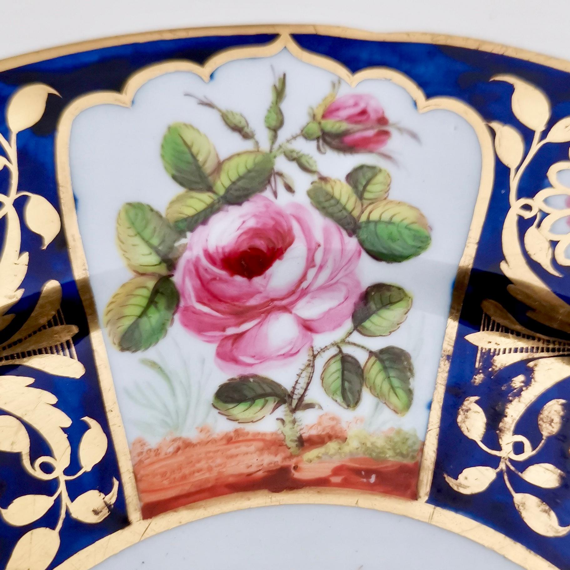 Hand-Painted John Rose Coalport Plate, Sèvres Style Birds and Flowers, circa 1815