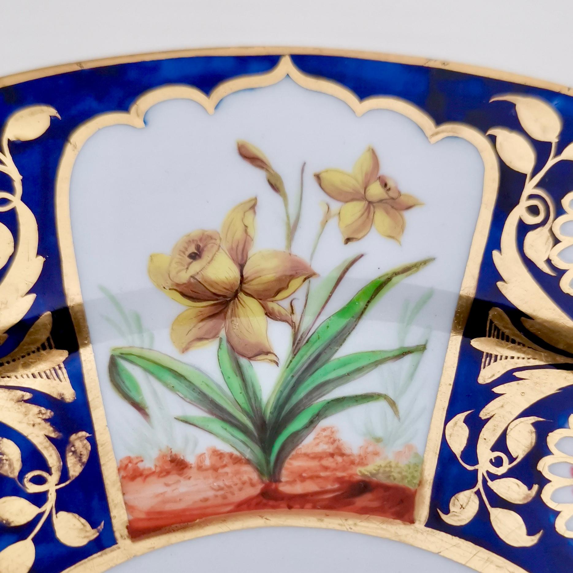 Early 19th Century John Rose Coalport Plate, Sèvres Style Birds and Flowers, circa 1815