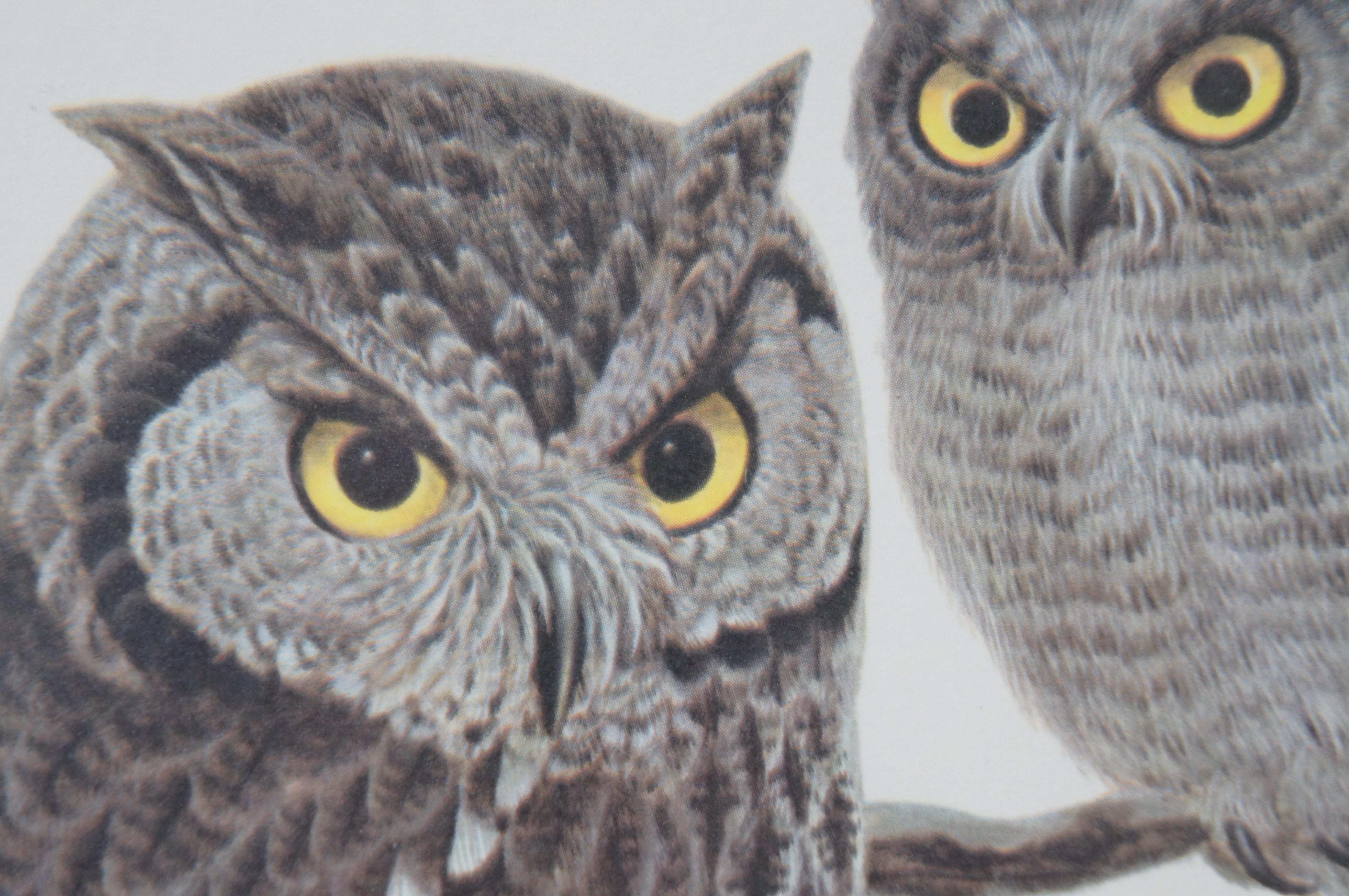 John Ruthven Homestead Series Screech Owl Bird Signed Lithograph Print 16