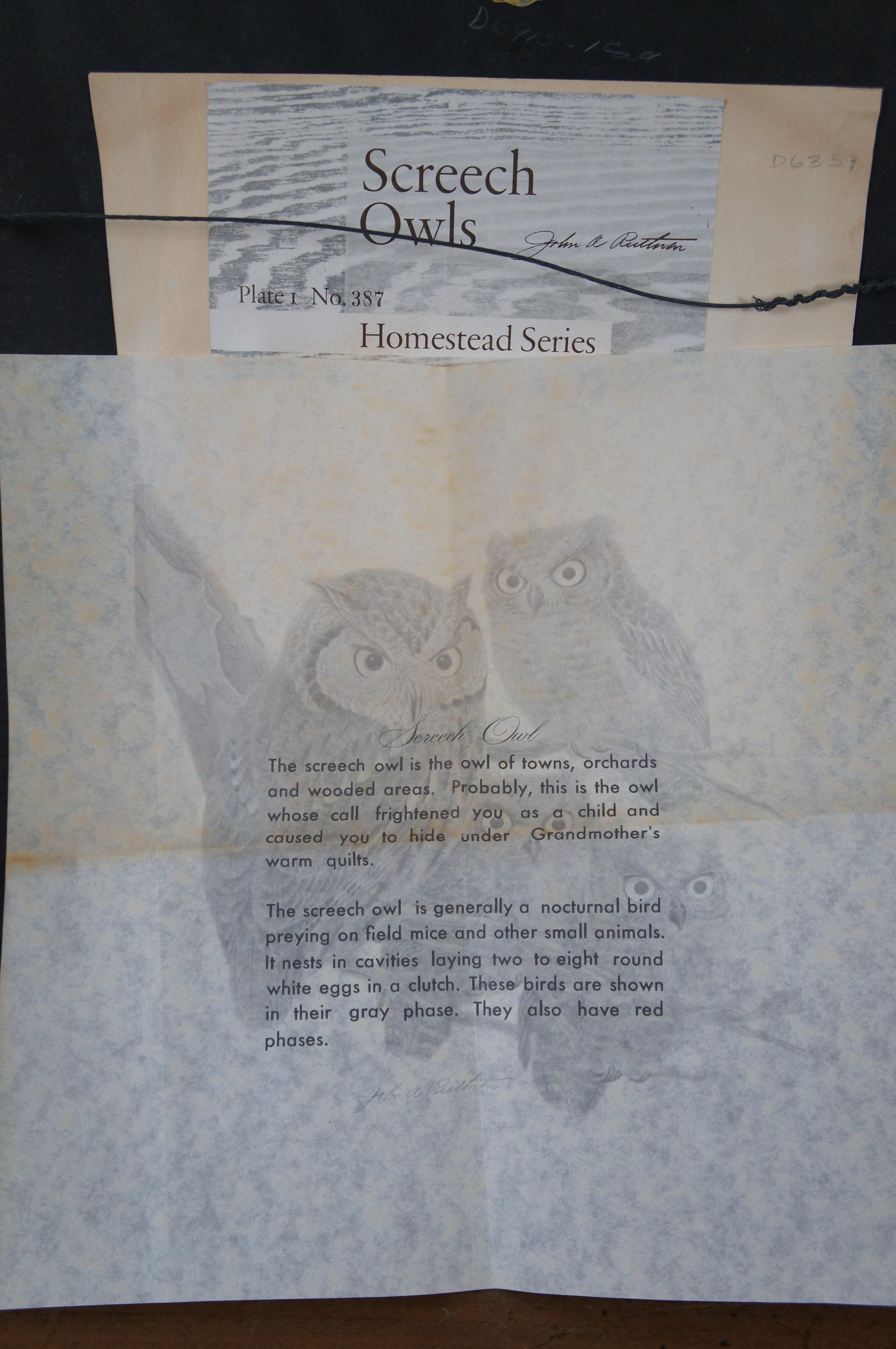 Paper John Ruthven Homestead Series Screech Owl Bird Signed Lithograph Print 16
