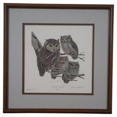 John Ruthven Homestead Series Screech Owl Bird Signed Lithograph Print 16"