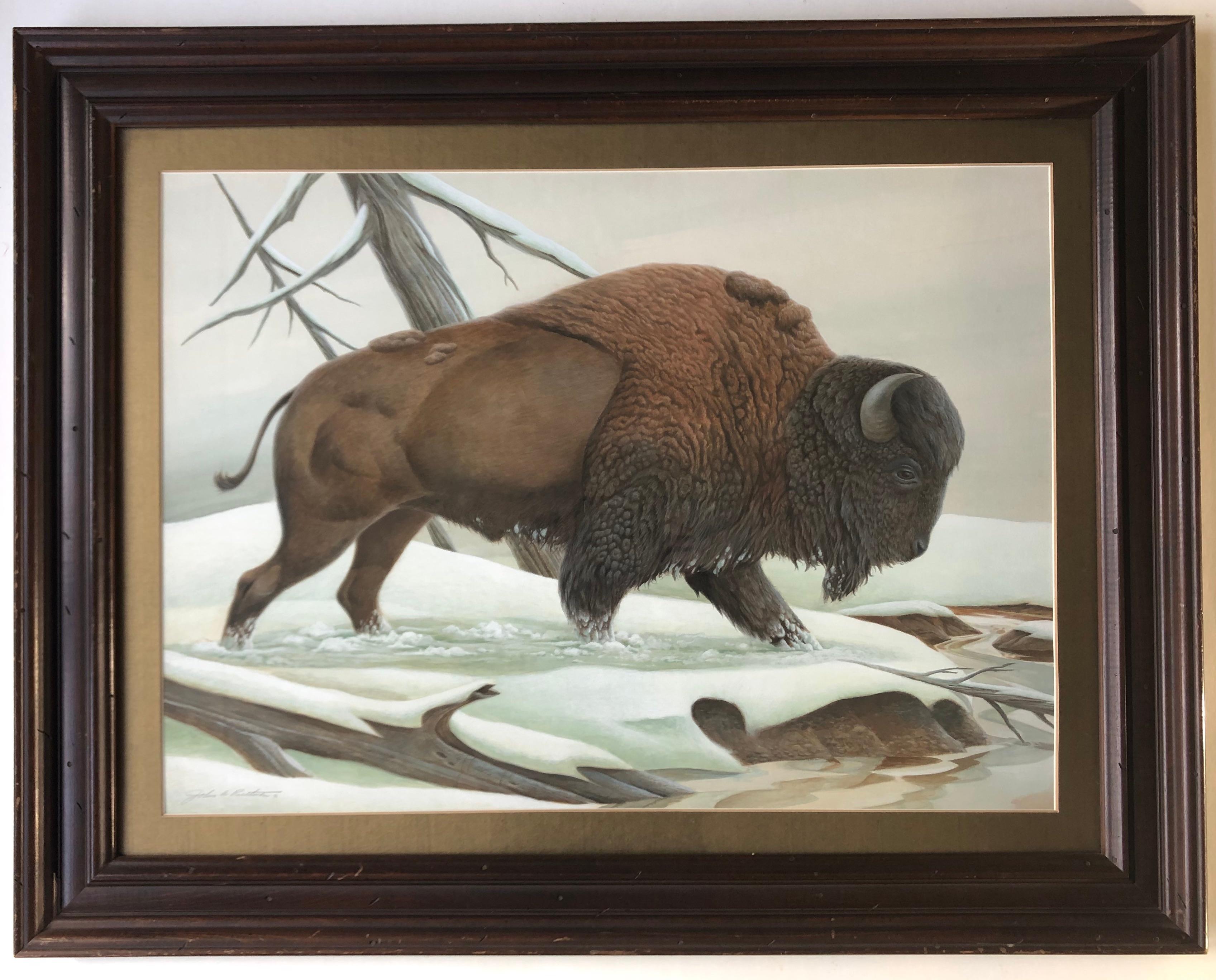 Bison dans la neige, photo d'animaux, école américaine, John Aldrich Ruthven, signée - Art de John Ruthven