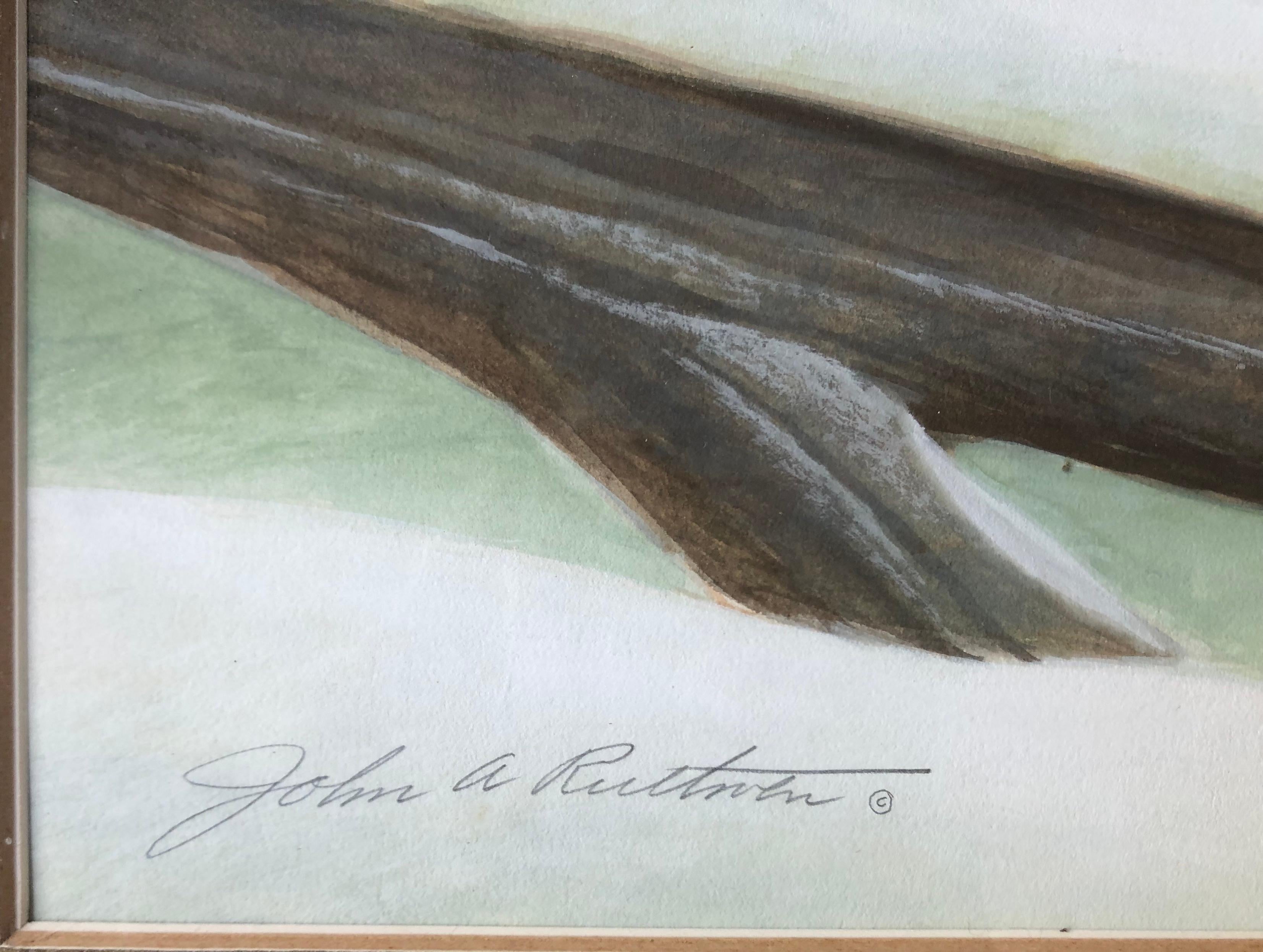 Bison dans la neige, photo d'animaux, école américaine, John Aldrich Ruthven, signée - Réalisme américain Art par John Ruthven
