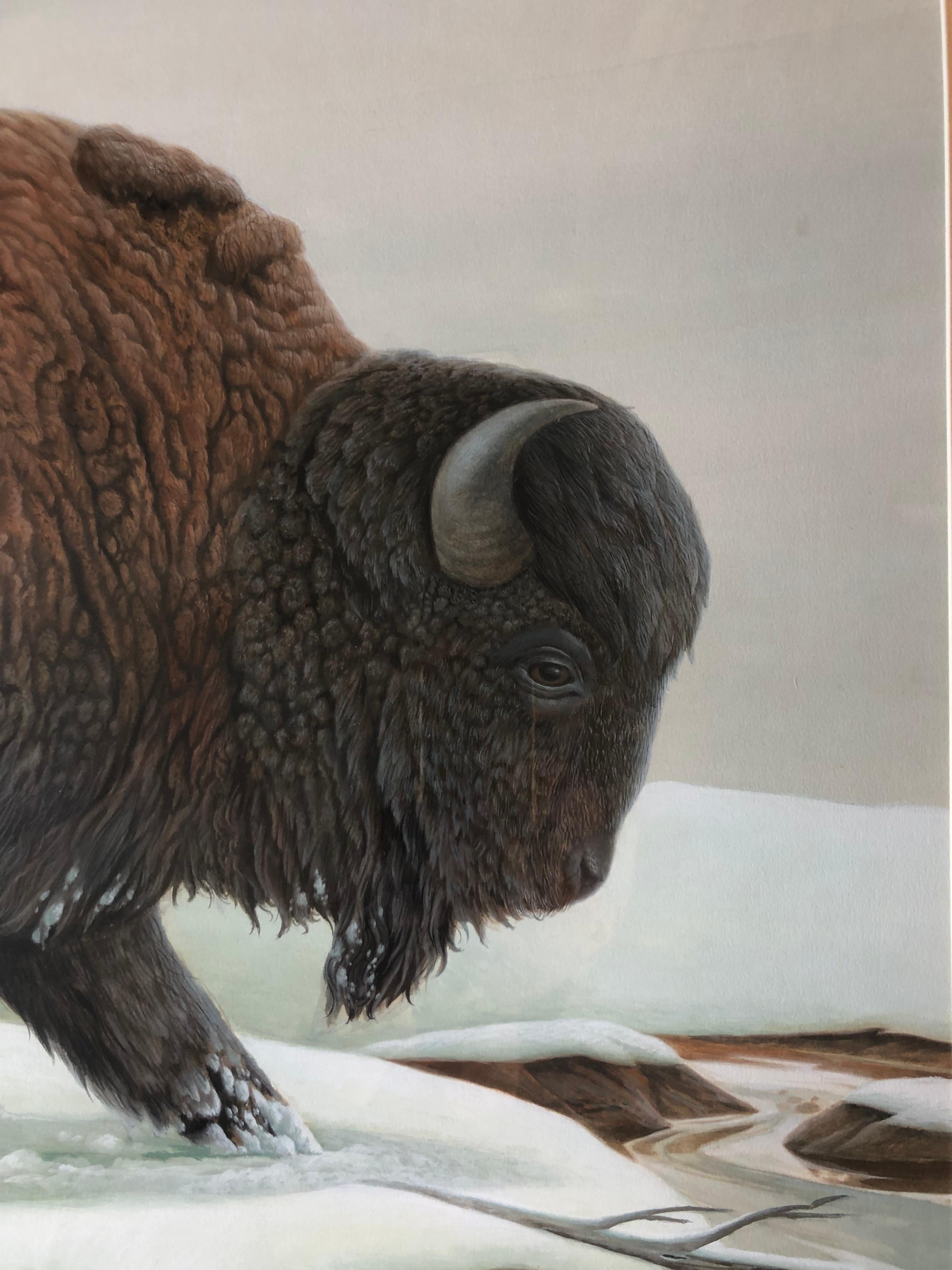 Bison dans la neige, photo d'animaux, école américaine, John Aldrich Ruthven, signée - Noir Animal Art par John Ruthven