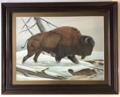 Bison in Snow, Animal Picture, American School, John Aldrich Ruthven, signed