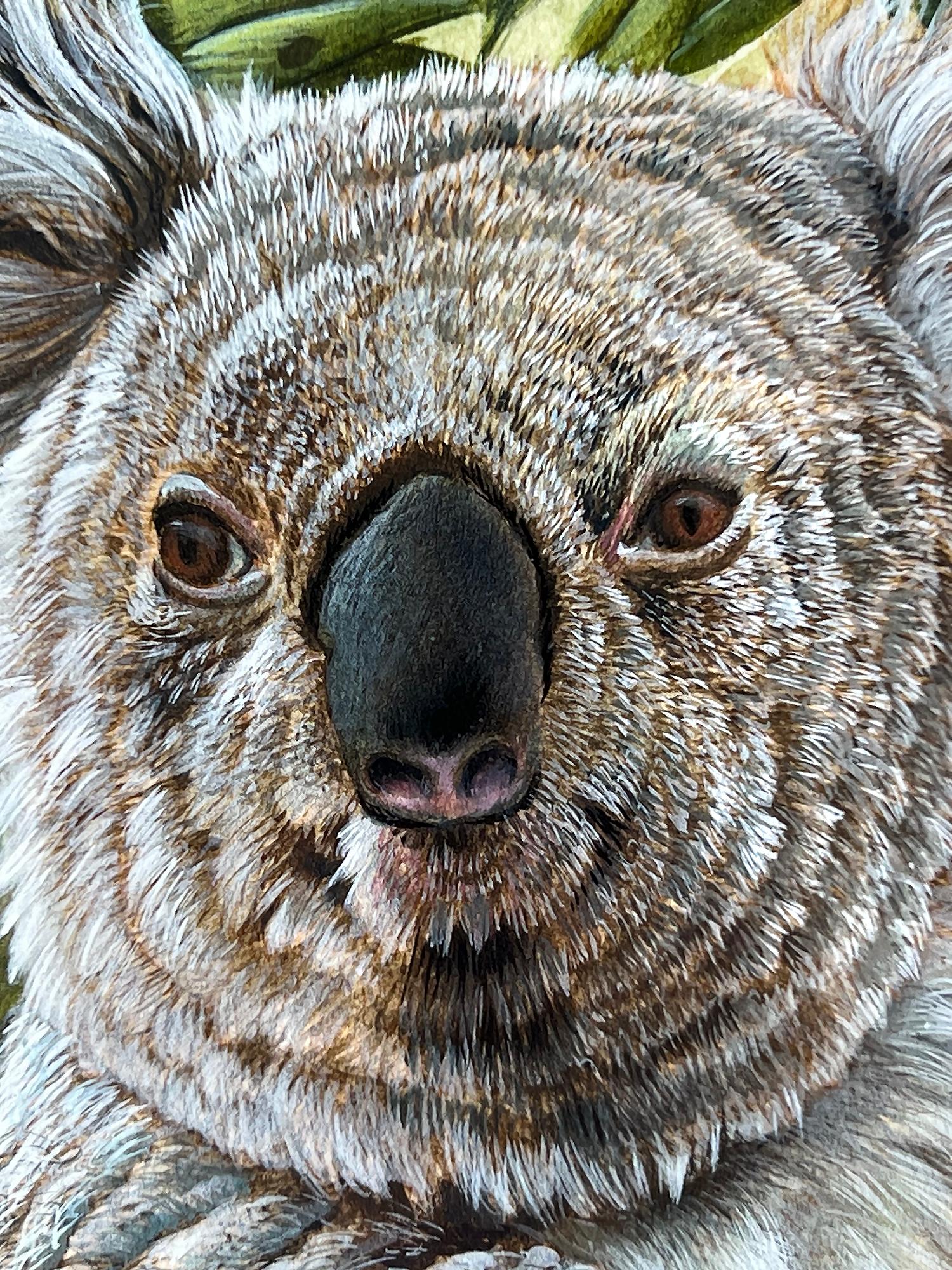 Cute Koala Bear Australia,  Photorealism  - Academic Art by John Ruthven
