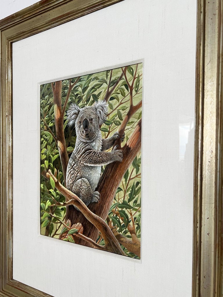 John Ruthven Cute Koala Bear Australia, Photorealism For Sale at