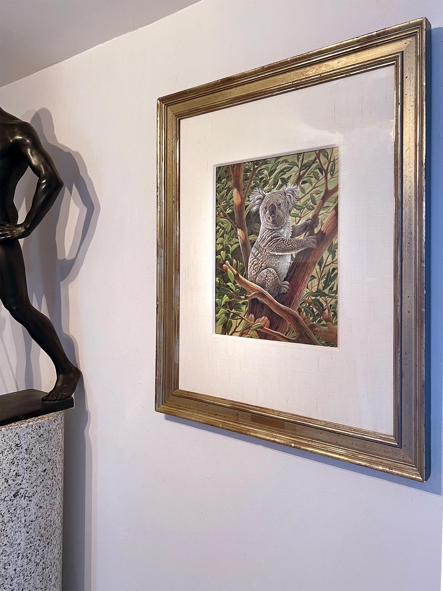 John Ruthven is recognized as the “20th-century Audubon.  In this very detailed and meticulously rendered work the artist depicts a Koala in an iconic and proud pose and a Photorealistic manner.  The detail is quite amazine. The artist must have