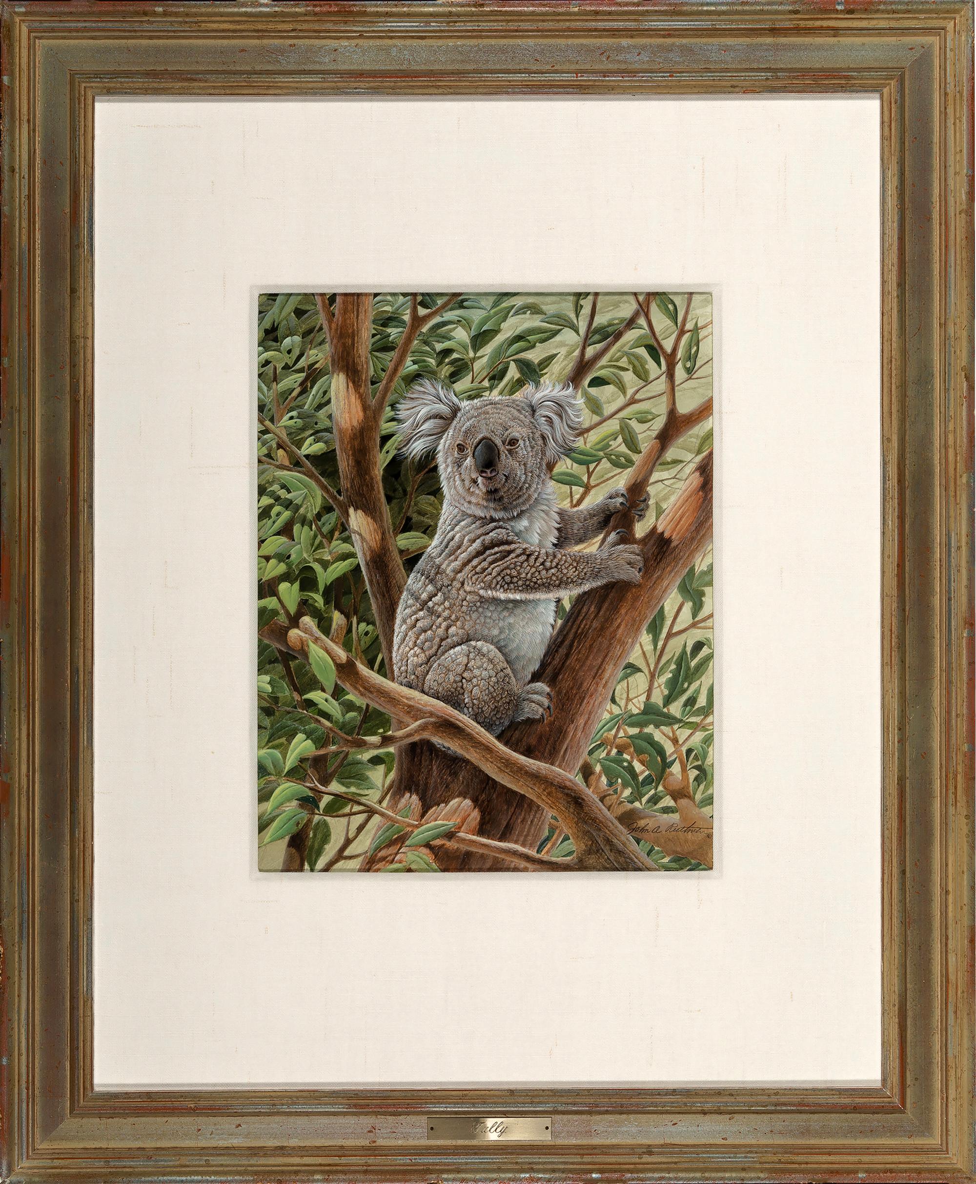 Niedlicher Koala-Bär Australien,  Fotorealismus  – Art von John Ruthven