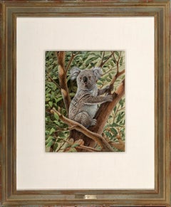 Cute Koala Bear Australia,  Photorealism