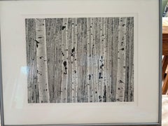 Aspen, Quiet Light (Near Aspen Colorado)