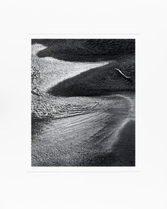 Surf and Driftwood, Afternoon, Point Lobos, CA
