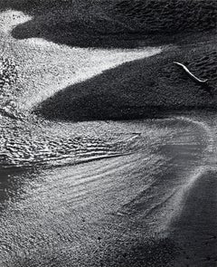 Surf- und Treibholz, Afternoon, Point Lobos, CA