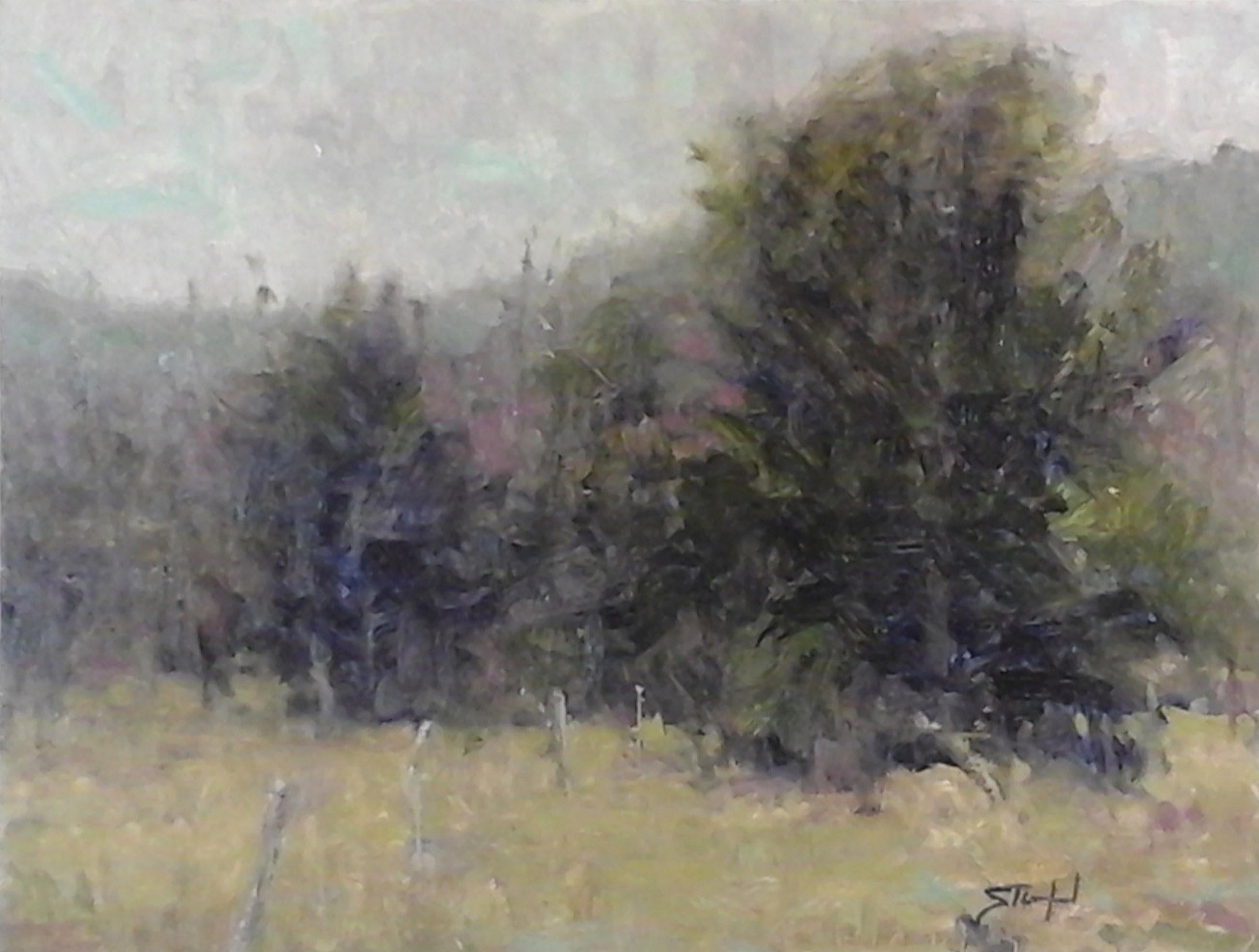 John Stanford Landscape Painting - Blue Ridge Study