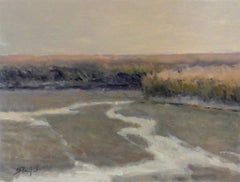 Coastal Marsh Study