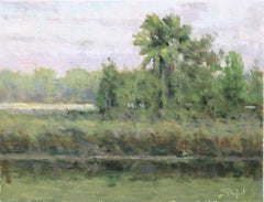 Coastal Study