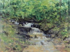 Creek Study